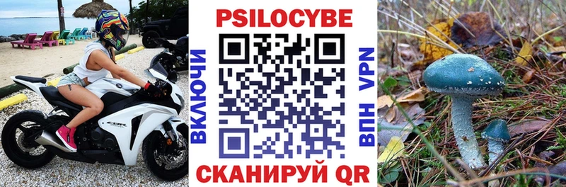 Галлюциногенные грибы прущие грибы купить закладку omg рабочий сайт Старица